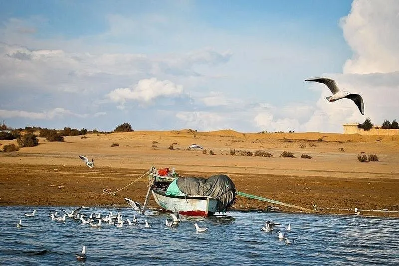 🏞️ Full-Day Fayoum Oasis & Waterfalls of Wadi El-Rayan Tour from Cairo